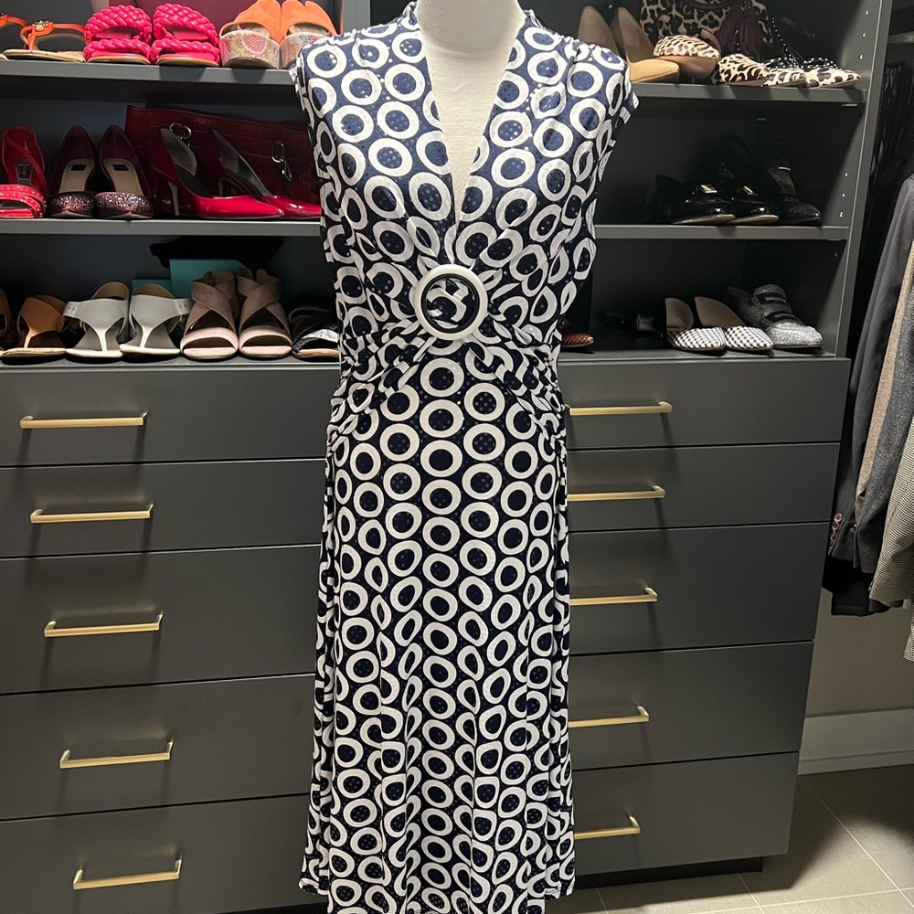Stunning Frank Lyman Dress